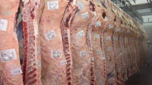 Etiquetas para contacto directo con la carne