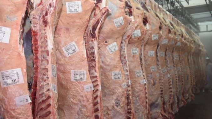 Etiquetas para contacto directo con carne